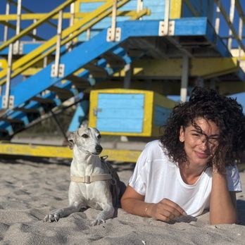 The P'Au Pair - Pet Boarding Near Me - Miami Beach, Florida The P'Au Pair - Pet Boarding Near Me - Miami Beach, Florida