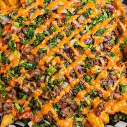 Bulgogi fries
