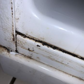 Lobos Management - Black mold - Property Management Near Me - Pittsburgh, Pennsylvania Lobos Management - Black mold - Property Management Near Me - Pittsburgh, Pennsylvania