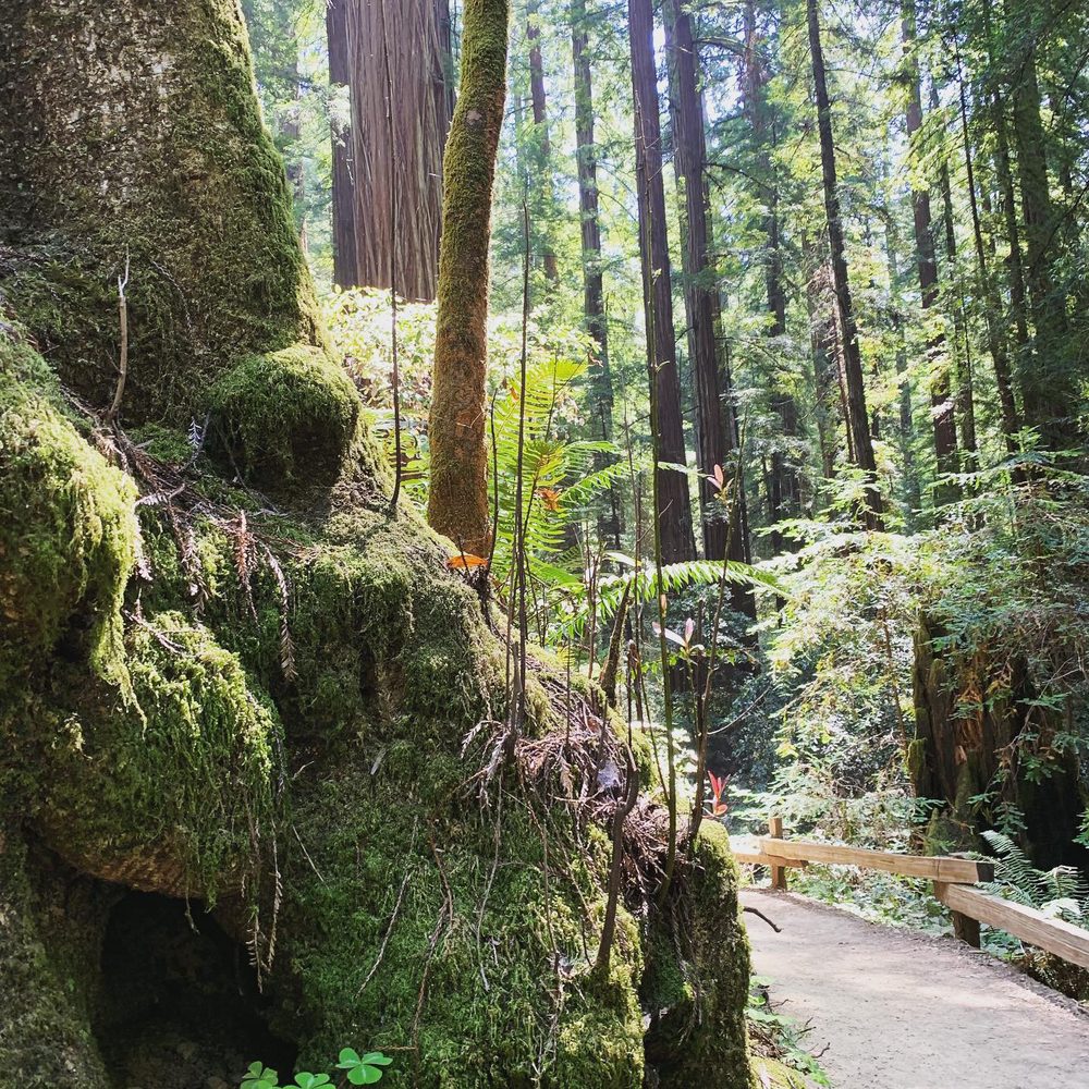 Best Bay Area Tours - Wine Tours Near Me - San Francisco, California