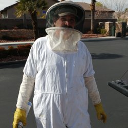 Townsend Pest Control - Townsend technicians have the expertise and experience necessary to safely and effectively remove bee and wasp infestations.