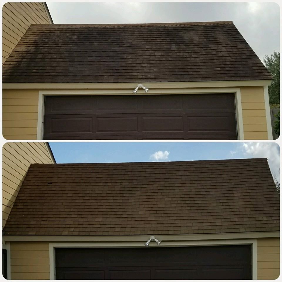 Slide of Wolf's Pro Clean