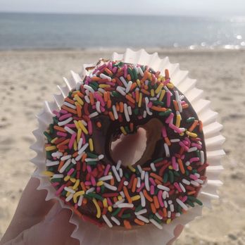 Back Door Donuts - Sprinkle Donut - Bakeries Near Me - Oak Bluffs, Massachusetts Back Door Donuts - Sprinkle Donut - Bakeries Near Me - Oak Bluffs, Massachusetts