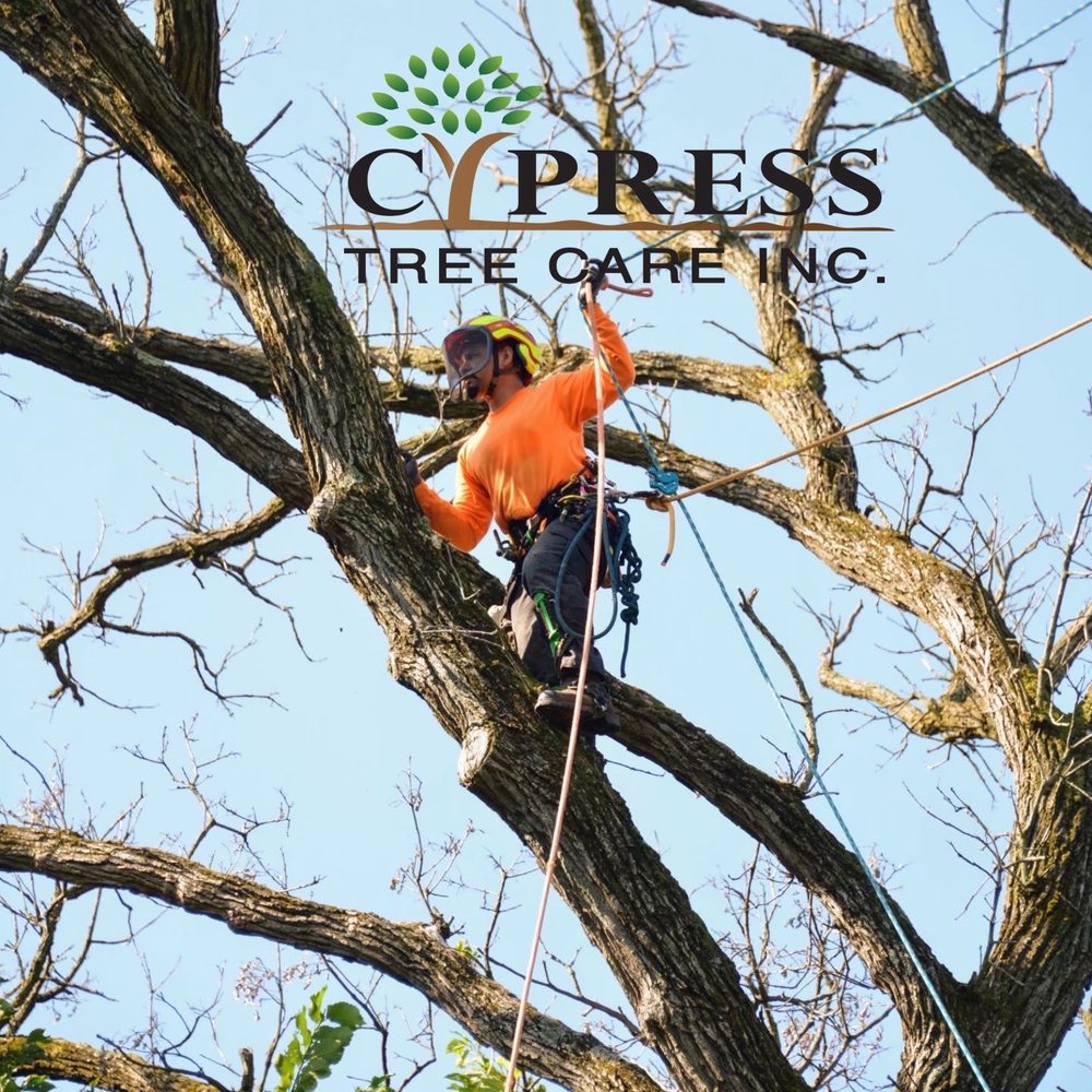 CYPRESS TREE CARE & LANDSCAPING Carpentersville, Illinois 43 Photos