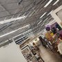 Photo of Painted Tree