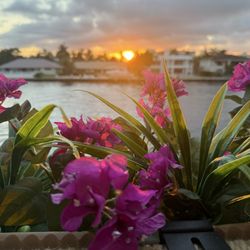 Sunset views