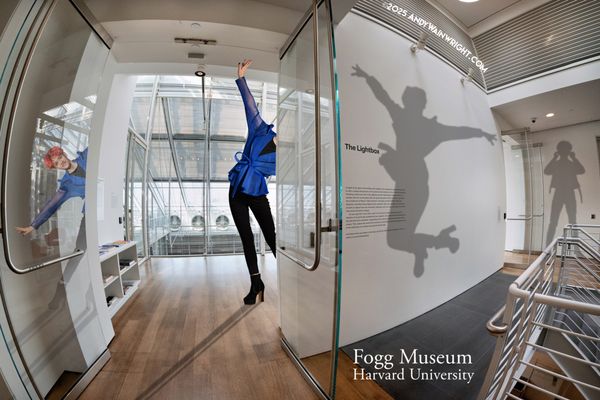 Harvard Art Museums by null