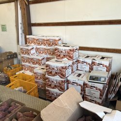Evergreen Farm