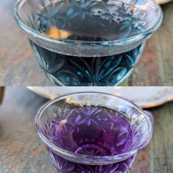 Snapdragon Tea - Green tea that turns purple when you add lemon :) - Coffee & Tea Near Me - Albuquerque, New Mexico