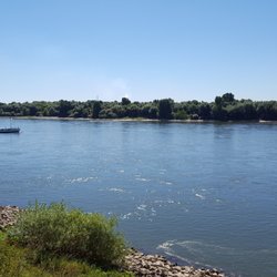 Rheinwacht - Top Ausblick!