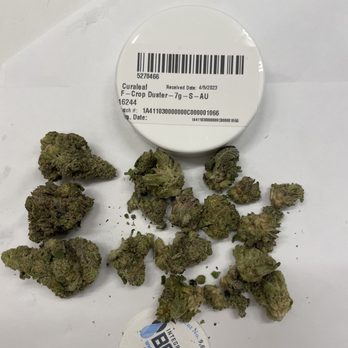 Curaleaf - Cannabis Clinics Near Me - Bellmawr, New Jersey Curaleaf - Cannabis Clinics Near Me - Bellmawr, New Jersey