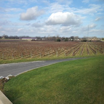 Arrowhead Spring Vineyards - Wineries Near Me - Lockport, New York