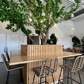 Sumaq Coffee - Interior  @feisty.eats - Coffee & Tea Near Me - Charlotte, North Carolina