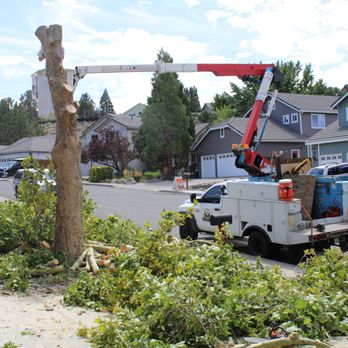 Eagle Tree Service - Tree Services Near Me Eagle Tree Service - Tree Services Near Me
