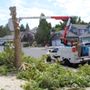 Eagle Tree Service