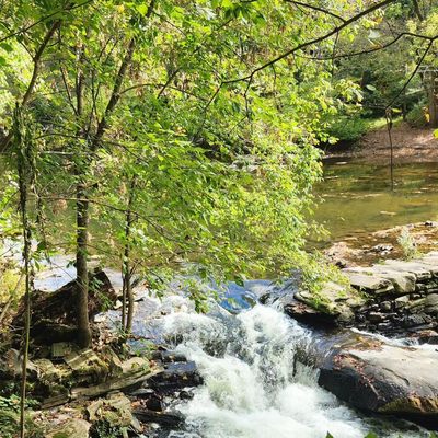 Wissahickon Valley Park by null