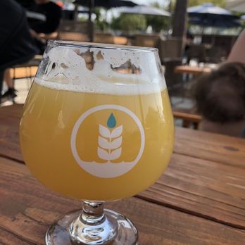 Pure Project - Carlsbad - Hazyyyyyy - Breweries Near Me - Carlsbad, California
