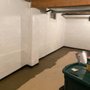 Four Leaf Restoration Waterproofing and Mold Remediation