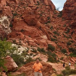 Vegas Hikes