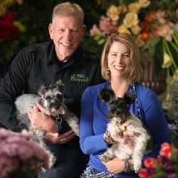In Bloom Florist