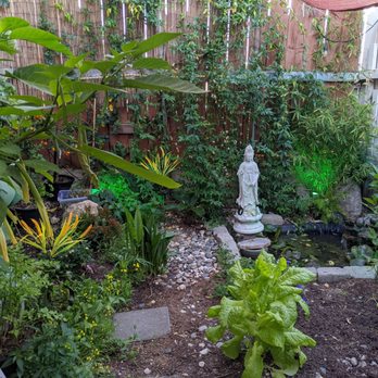 Nem Restaurant - Fountain garden area on the patio - Vietnamese Near Me - San Jose, California Nem Restaurant - Fountain garden area on the patio - Vietnamese Near Me - San Jose, California