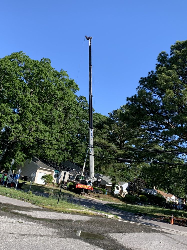 A Top To Bottom Tree & Lawn - tree service in Norfolk, VA