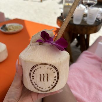 Joia Beach - Coconut water - Modern European Near Me - Miami, Florida