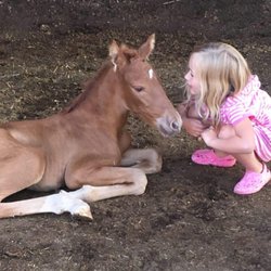 Serenity Ridge Farm