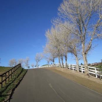 Cloud Climbers Jeep Tours - The view from the back of the Jeep. - Wine Tours Near Me
