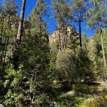 Coconino National Forest - Public Services & Government Near Me - Flagstaff, Arizona