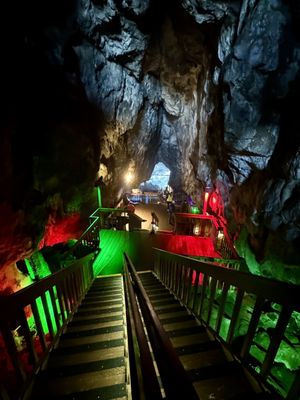 Sea Lion Caves by null