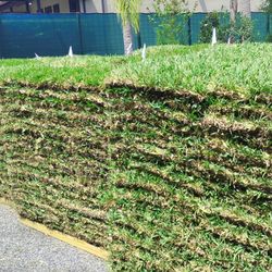 The Sod Lot