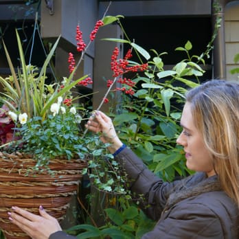 Wells Medina Nursery - Great Hanging Baskets, both Winter and Summer - Nurseries & Gardening Near Me - Medina, Washington Wells Medina Nursery - Great Hanging Baskets, both Winter and Summer - Nurseries & Gardening Near Me - Medina, Washington