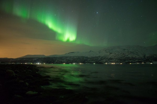 Chasing Lights by null