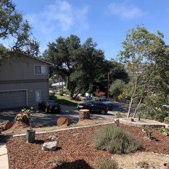 AAA Arbor First - Finished project. - Tree Services Near Me - Morro Bay, California