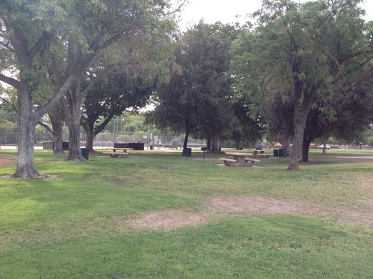 Roosevelt Park by null