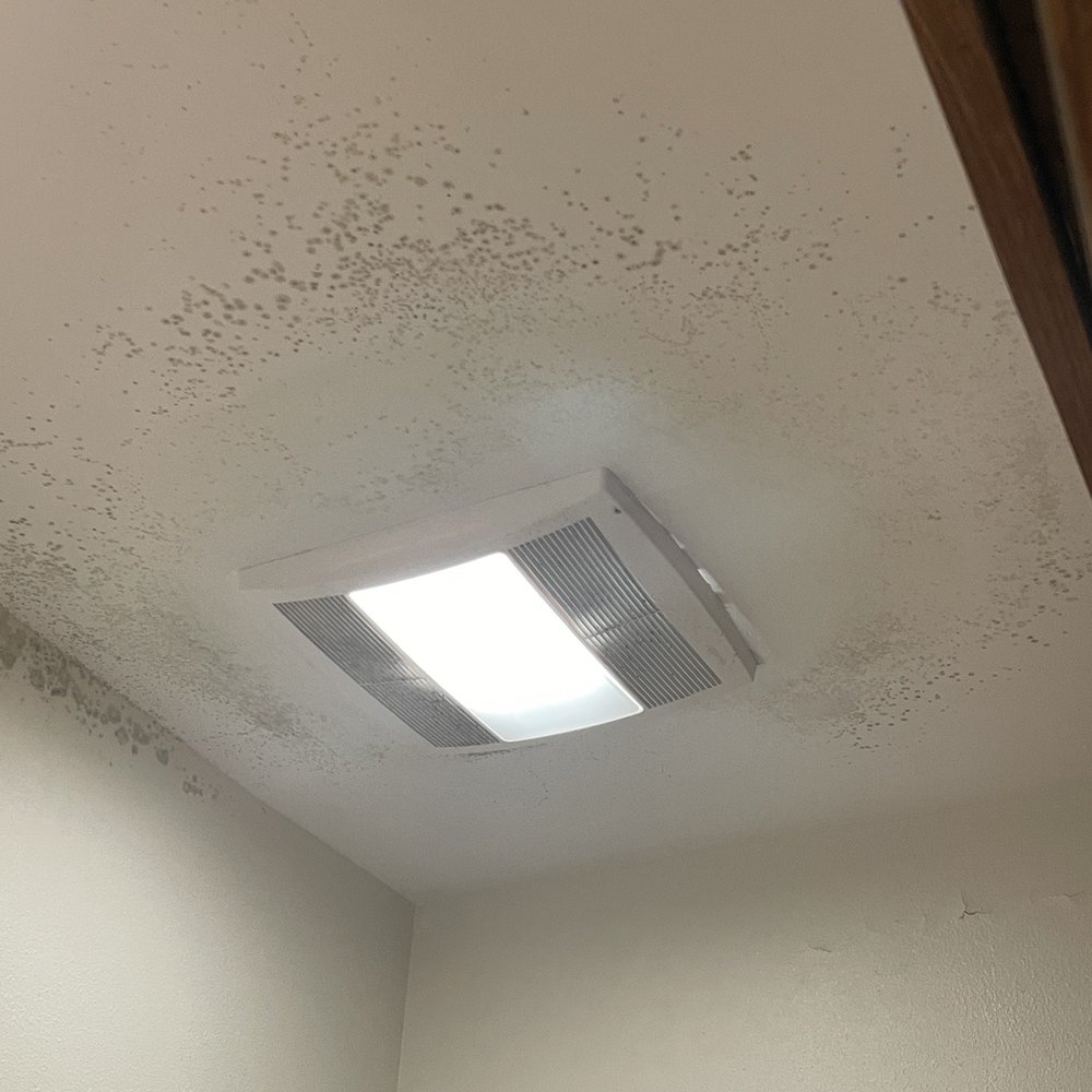 SpringHill Suites by Marriott Houston NASA/Seabrook - Ceiling over toilet - Hotels Near Me - Seabrook, Texas SpringHill Suites by Marriott Houston NASA/Seabrook - Ceiling over toilet - Hotels Near Me - Seabrook, Texas