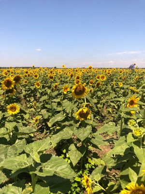 Columbia Bottom Conservation Area by null