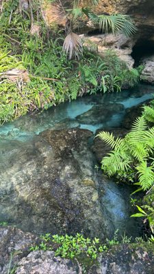 Kelly Park - Rock Springs by null