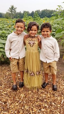 Bremer Produce U-Pick Flower Farm by null