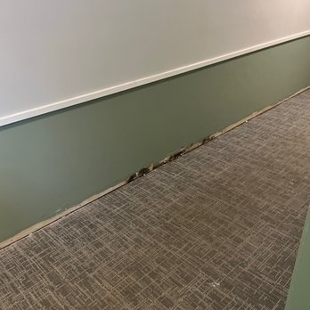 Park Butterfield - Moldy wall in the first floor - Apartments Near Me - Mundelein, Illinois Park Butterfield - Moldy wall in the first floor - Apartments Near Me - Mundelein, Illinois