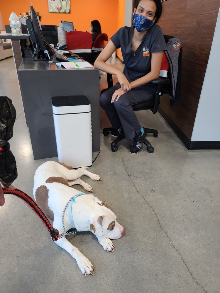 Lake Nona Animal Clinic Image