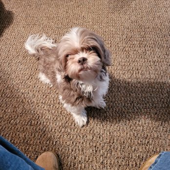 Refugee Canyon Veterinary Services - She was a beautiful happy 14 yr old baby - Veterinarians Near Me - Hebron, Ohio Refugee Canyon Veterinary Services - She was a beautiful happy 14 yr old baby - Veterinarians Near Me - Hebron, Ohio