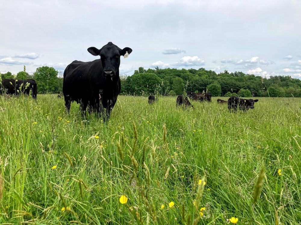 KINDERHOOK FARM Updated September 2024 49 Photos 1958 County Rd 21, Valatie, New York
