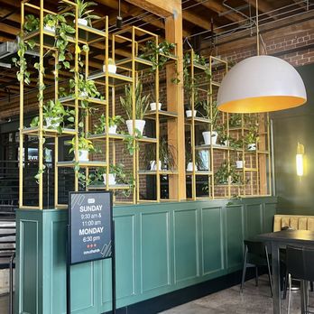 Creampuff - Interior of a cafe or restaurant featuring green wainscoting, gold plant shelves with potted plants, and a large white pendant light. - Donuts Near Me - Phoenix, Arizona