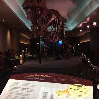 Field Museum - SUE's World - Museums Near Me - Chicago, Illinois