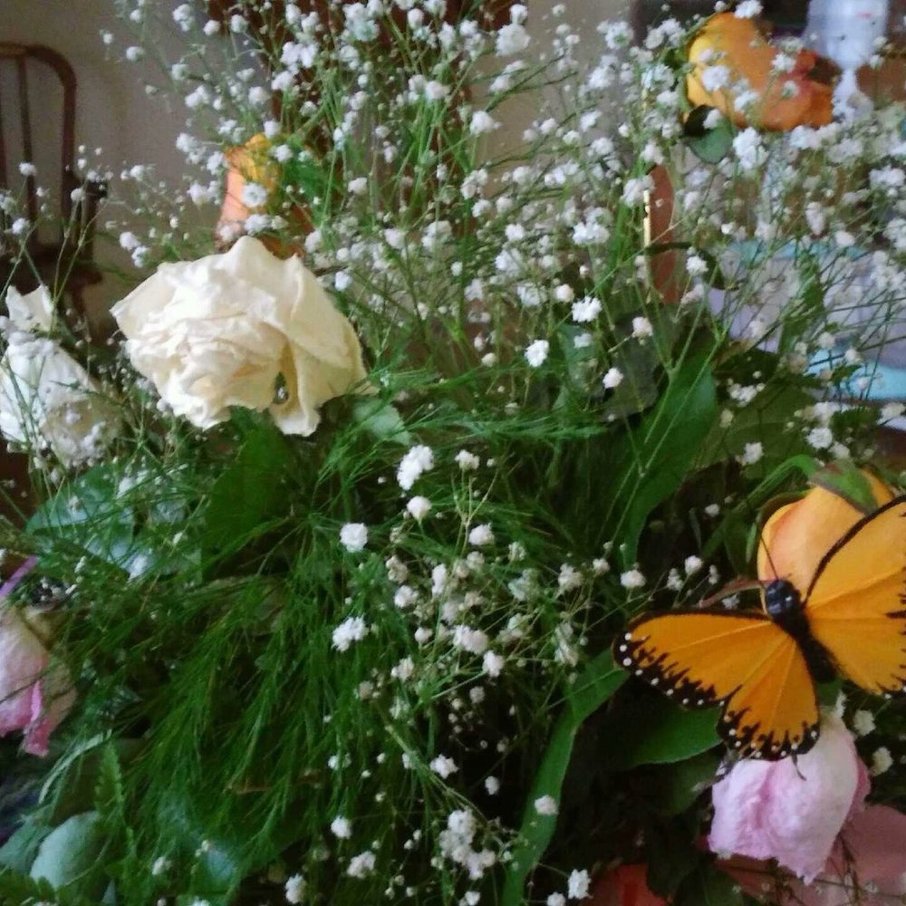 Top 10 Best Florists in El Paso, TX Last Updated August 2021 Yelp