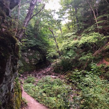 Parfrey's Glen - Lot of bluffs and vegetation. I was there at about 5 PM, so quite a few of my pictures turned out a little bit darker, and more vibrant. - Hiking Near Me Parfrey's Glen - Lot of bluffs and vegetation. I was there at about 5 PM, so quite a few of my pictures turned out a little bit darker, and more vibrant. - Hiking Near Me