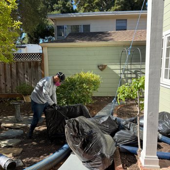 Rat Issues - Full treatment, removal of contaminated and infested Insolation. Sanitizing and installing new insulation after no more rodent activity. - Pest Control Near Me - Palo Alto, California Rat Issues - Full treatment, removal of contaminated and infested Insolation. Sanitizing and installing new insulation after no more rodent activity. - Pest Control Near Me - Palo Alto, California