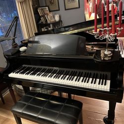 TX Pianos - Piano